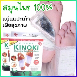 Queen แผ่นแปะเท้า ของเเท้100% KINOKI คิโนกิ แผ่นแปะเท้าดูดสารพิษ แผ่นเเปะเท้าเพื่อสุขภาพ แผ่นแปะเท้าสมุนไพร MY7