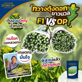 เมล็ดพันธุ์กวางตุ้งดอกขาวนวลลูกผสม (เจียไต๋) ขนาด 100 กรัม