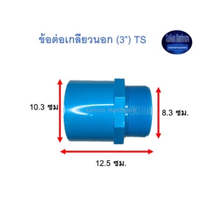 ข้อต่อเกลียวนอก ท่อน้ำไทย (3”) Thai Pipe TS Valve Socket ฟ้า 3