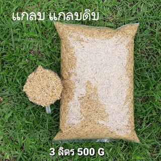 แกลบดิบ 500 กรัม ผสมดินปลูก กระบองเพชร ไม้อวบน้ำ ฮาโวเทีย