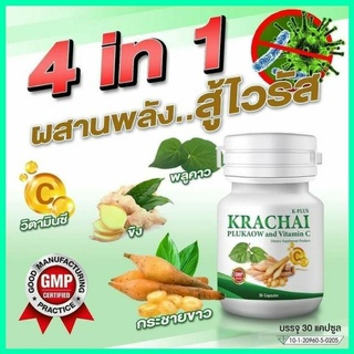 ☘️30 แคปซูล กระชายขาวแคปซูล/ฟ้าทะลายโจรแคปซูล☘️กระชายขาว/ฟ้าทะลายโจร เลขที่อย.10-1-20960-5-0205
