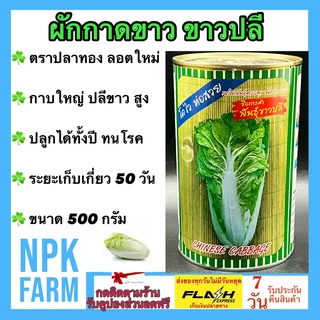 ผักกาดขาว ขาวปลี ปลาทอง ขนาด 500 กรัม เมล็ดพันธุ์ ลอตใหม่ งอกดี กาบใหญ่ ปลีขาว ห่อแน่น ทนทานโรค อายุเก็บเกี่ยว 50 วัน