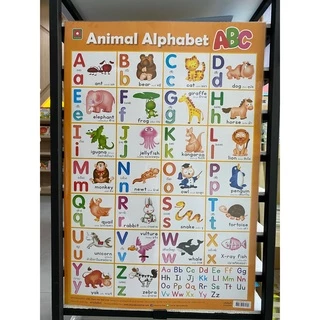 Aksara for kids โปสเตอร์ หุ้มพลาสติก ติดผนัง ABC (ส้ม)