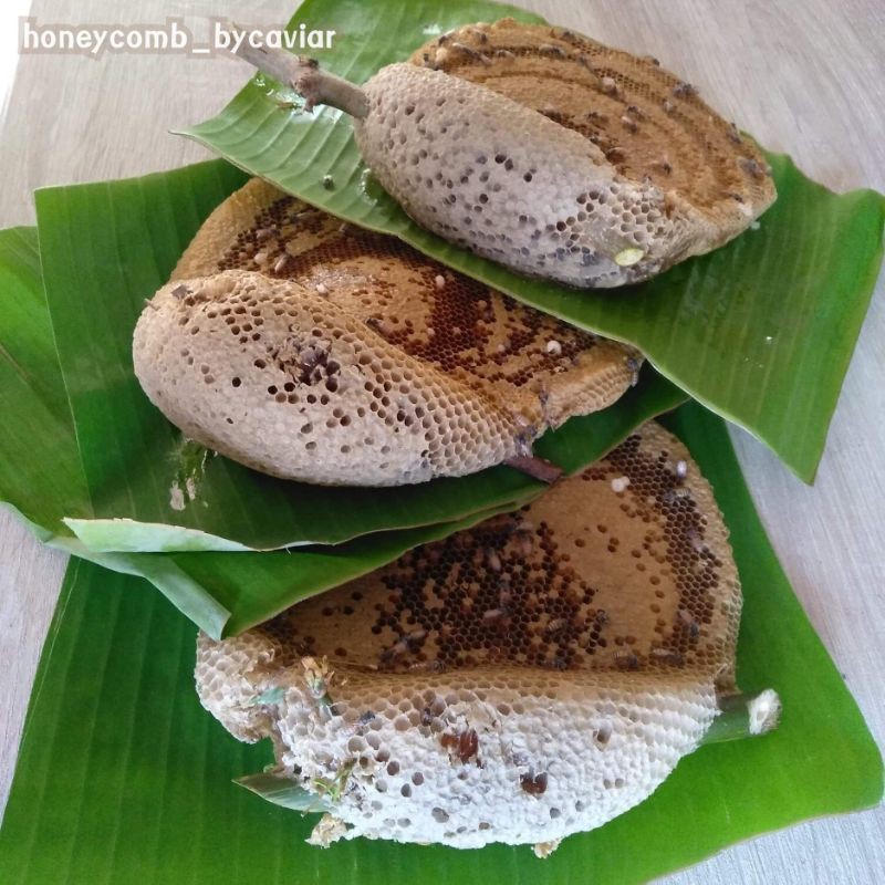 รังผึ้งจัดเซ็ทคุ้มๆ 🐝รังผึ้งป่า น้ำผึ้งป่าแท้💯% #Bycaviar - รูปที่ 3