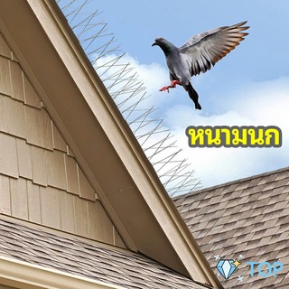 หนามไล่นก อุปกรณ์ไล่นกทำรัง ทนทาน ทนแดด ทนฝน อุปกรณ์ไล่นก bird thorn