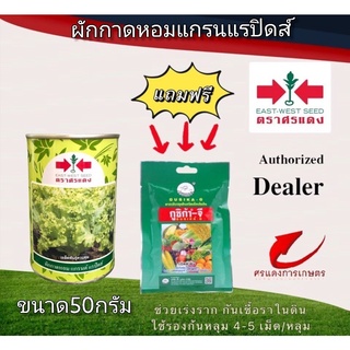 เมล็ดพันธุ์ ผักกาดหอมแกรนแรปิคส์ 50g แถมกูซิก้าจีซองเล็ก