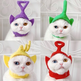 purrpet หมวกสัตว์เลี้ยง เทเลทับบี้