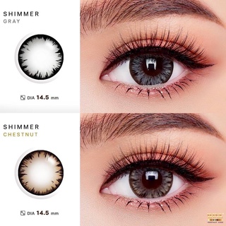 ค่าสายตา -5.50 ถึง -10.00 Wink Lens Shimmer(Gray,Brown)