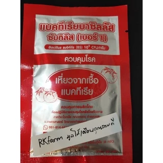 แบคทีเรียบาซิลลัส เบอร์1 ควบคุมโรคเหี่ยวจากเชื้อแบคทีเรีย ขนาดบรรจุ 20 กรัม