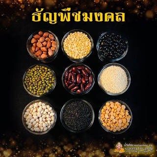 ธัญพืชมงคล 9 ชนิด ถวายองค์มหาเทพ เพิ่มความอุดมสมบูรณ์และความมงคลต่างๆ