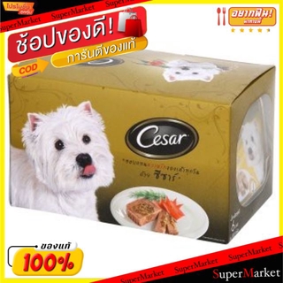 🔥ยอดฮิต!! Cesar อาหารสุนัข ซีซา รสเนื้อไก่และเนยแข็ง ขนาด 100กรัม/ถาด แพ็คละ6ถาด ชนิดเปียก Dog Food Beef ซีซาร์ อาหารสุน