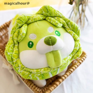 magicalhour Cabbage Shiba Inu Dog Cute Vegetable Fairy Anime Plush Toy Fluffy Stuffed new