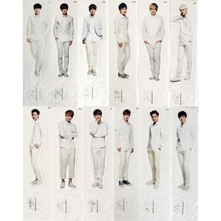 EXO Nature Republic Mini Standees **ระบุเมมเบอร์ได้**