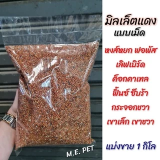 มิลเลตสเปร์ยแดง/เหลืองเกรด A มิลเลตแดงฝรั่งเศส สำหรับนกนานาชนิดและแฮมเตอร์ อาหารนก มิลเล็ตสเปร์ยแดง (200g/500g)