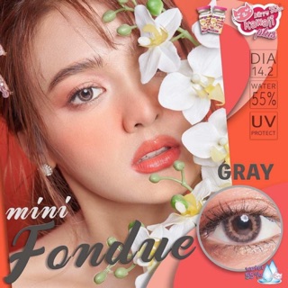 Mini fondue gray พร้อมส่งค่าสายตา (kittykawaii)