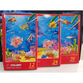 ดินสอสีไม้ระบายน้ำ คอลลีน 12/24/36 สี รุ่น  Watercolour Pencils Colleen