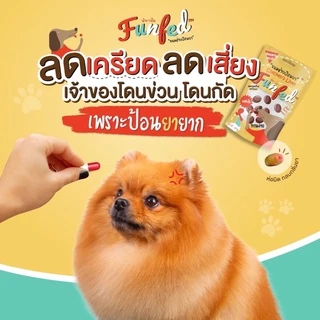 FunFed Tablet Pocket Dog and Cat Treats - ขนมป้อนยาเม็ด สำหรับ สุนัข แมว (14 ชิ้น/pcs)