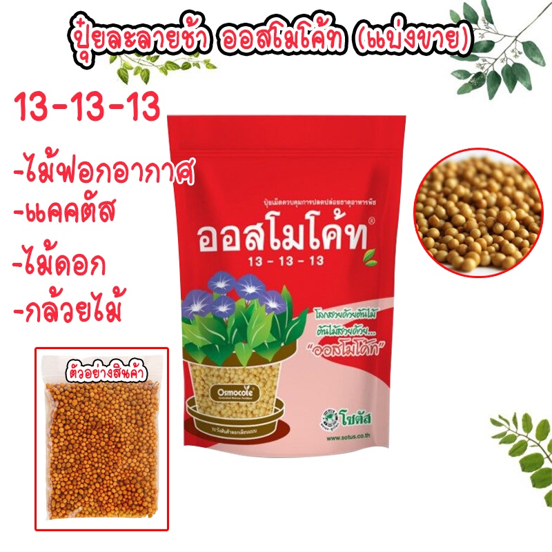 ปุ๋ยออสโมโค้ท (Osmocote) [แบ่งขาย] 20-50 กรัม สูตร 13-13-13 ปุ๋ยบำรุงต้น และไม้ประดับทุกชนิด