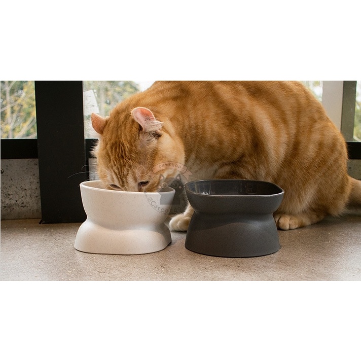 🌵 ชามโมเดิร์น ชามสุนัข มินิมอล ชามอาหารสัตว์เลี้ยง เอียง15องศา ป้องกันกระดูกสันหลัง ใช้ได้2ฝั่ง 🌵 - รูปที่ 3