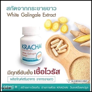 กระชายขาว KRACHAI แบบกล่อง