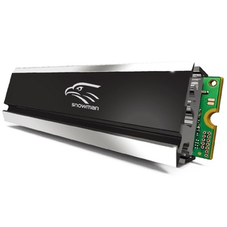 R* แผ่นฮีทซิงค์ระบายความร้อน อลูมิเนียม สําหรับ M 2 SSD PC NVME NGF F 2280 SSD