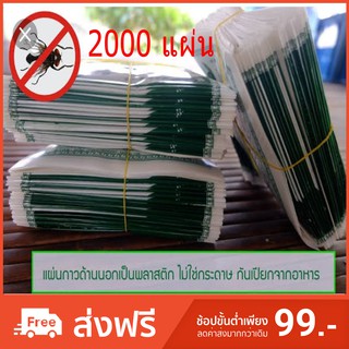 กาวดันแมลงวัน ยกลัง 2000 แผ่น