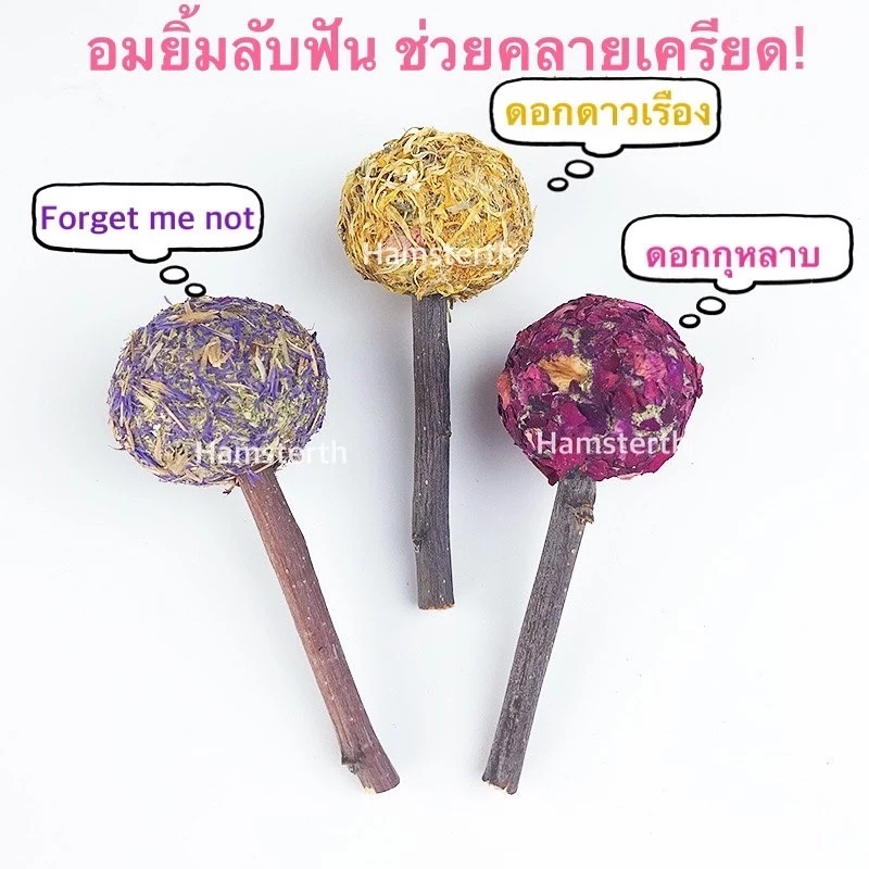 [Hamsterth] อมยิ้ม ลับฟันทำจากหญ้าแห้งอัดก้อน ไม้แอปเปิ้ล ช่วยคลายเครียด ขนมแฮมสเตอร์ ธัญพืช