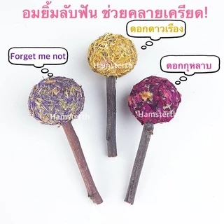 [Hamsterth] อมยิ้ม ลับฟันทำจากหญ้าแห้งอัดก้อน ไม้แอปเปิ้ล ช่วยคลายเครียด ขนมแฮมสเตอร์ ธัญพืช