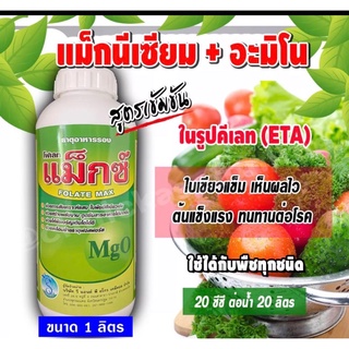 โฟเลท แม็กซ์ แมกนีเซียม( MgO )สูตรเข้มข้นในรูปคีเลท( EDTA )ทำให้พืชใบเขียวเข้ม เร่งเขียว ต้านทาน โรค ธาตุอาหารรองฮอร์โมน