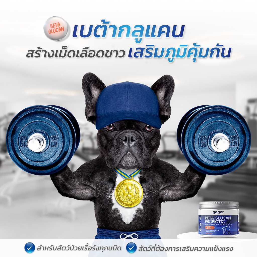 Gager (กาเจอร์) วิตามินหมา วิตามินแมว ผงเบต้ากลูแคน+โปรไบโอติค2in1 เสริมสร้างภูมิคุ้มกัน กลิ่นไก่ผสมตับ  (มีตัวเลือก) - รูปที่ 4