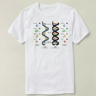 เสื้อยืดแขนสั้น ผ้าฝ้าย พิมพ์ลาย Biology DNA Theory สไตล์วินเทจ สําหรับผู้ชาย และผู้หญิง