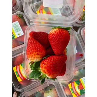 🍓สตรอว์เบอร์รี่ ออสเตรเลีย 🇦🇺🍓 🍓ลูกโตๆๆ เนื้อแน่นๆ กรอบๆ สดมากมาย 🍓 เปรี้ยวหวานจ้า 📦ขนาด 250g X15 แพค