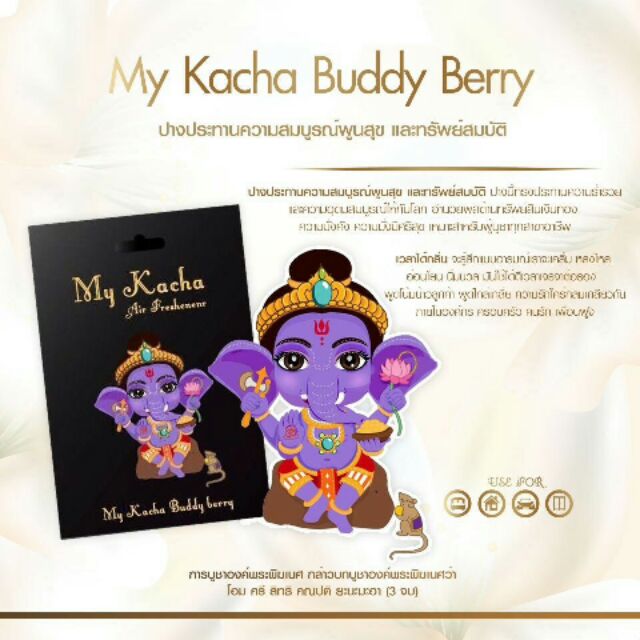 My kacha Buddy berry (สีม่วง)