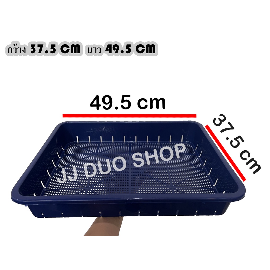 (3ชิ้น,6ชิ้น) กระบะเหลี่ยม 52 กระบะเพราะชำ กระบะปลูกผัก กระบะเลี้ยงใสเดือน (JJ DUO SHOP)