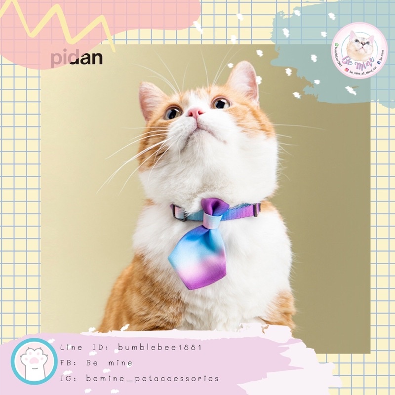 พร้อมส่งจากไทย Pidan ปลอกคอนิรภัยสำหรับน้องแมว รุ่น Necktie พร้อมส่ง