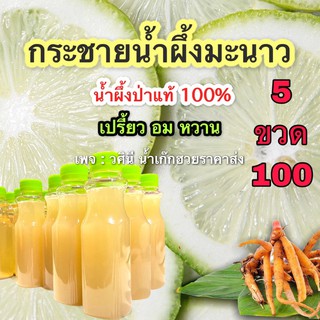 น้ำกระชายน้ำผึ้งมะนาว5 ขวด 100