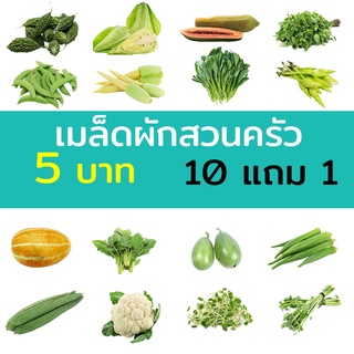 เมล็ดพันธุ์ผัก เมล็ดผักสวนครัว 10แถม1 ปลูกง่ายโตไว เมล็ดผักใหม่ 5 บาท ทุกชนิด