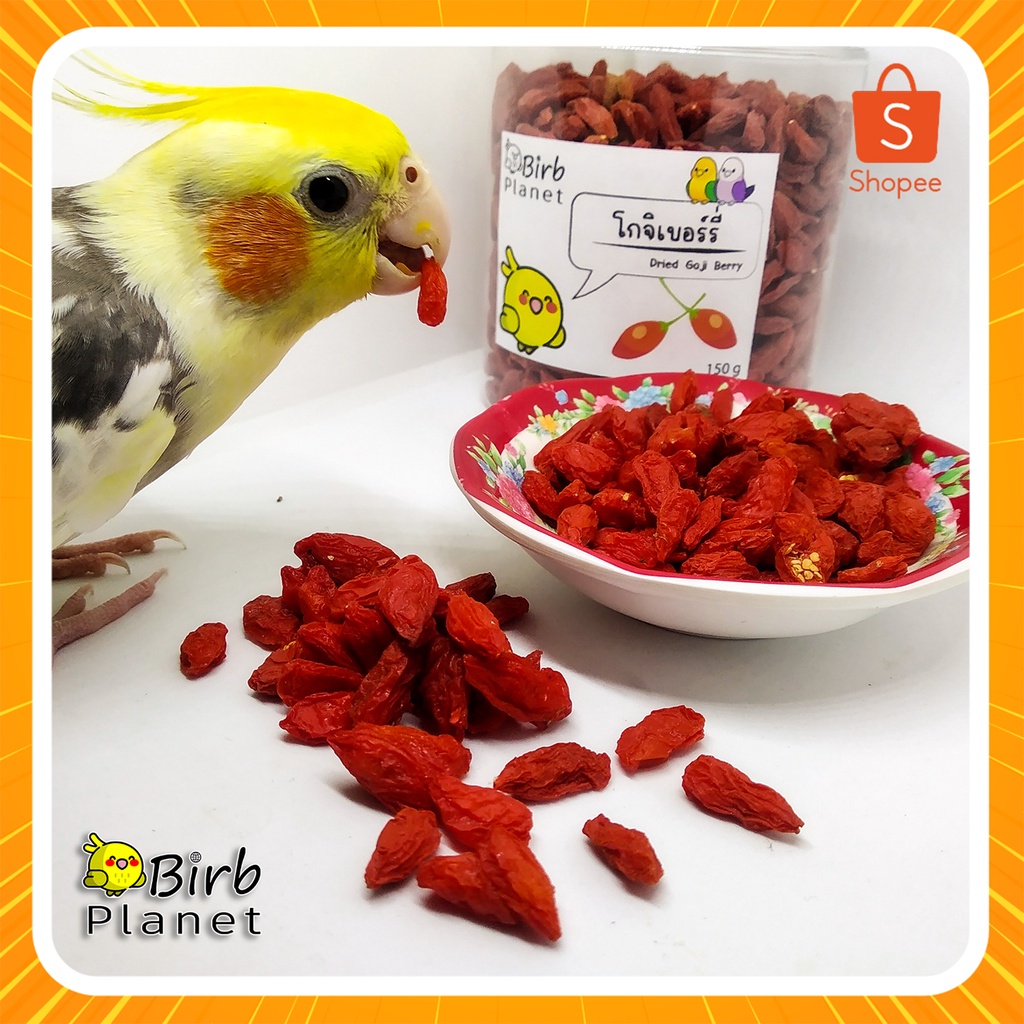 โกจิ เบอร์รี่อบแห้ง อาหารเสริมสำหรับนก  พร้อมส่ง BIRB PLANET  goji berry for birds