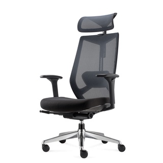 DF Prochair | เก้าอี้เพื่อสุขภาพ รุ่น A-Cor Chair H