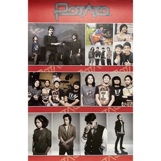 โปสเตอร์วงดนตรี ติดผนัง Potato