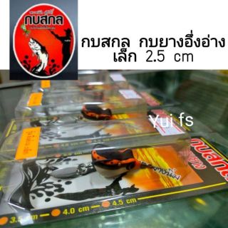 กบสกล กบยาง อึ่งอ่างเล็ก 2.5 cm กลาง 3cm.