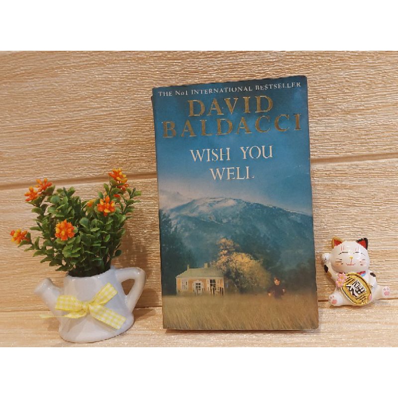 DAVID BALDACCI  WITH YOU WELL
