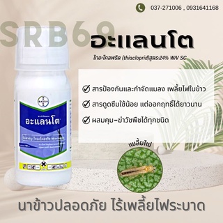 อะแลนโต กำจัดเพลี้ยไฟในนาข้าว