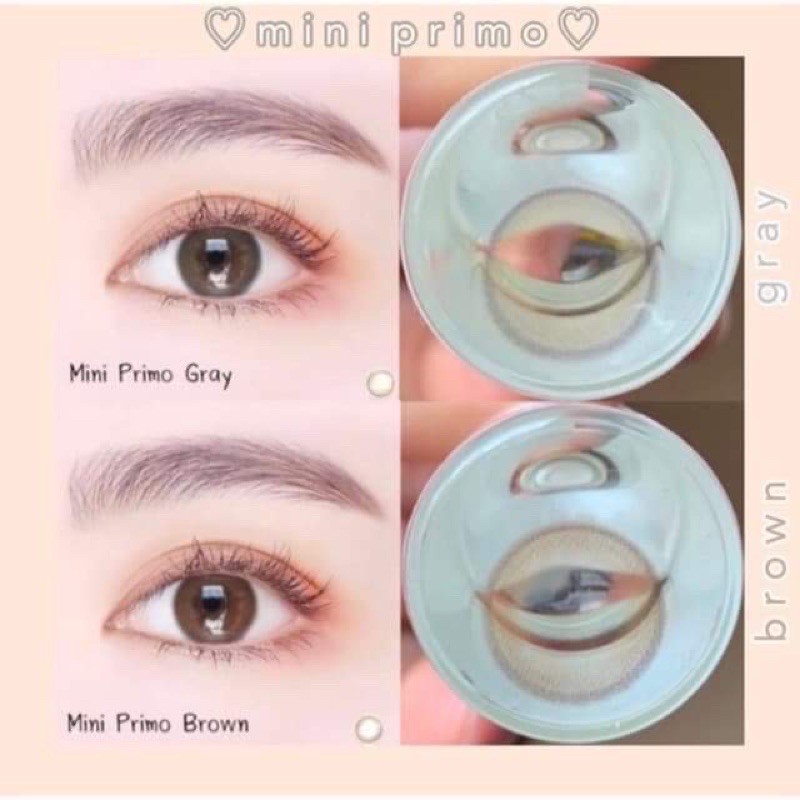 (0.00-5.00)Kitty Kawaii Mini Primo Brown // Gray สายตาปกติ กัน UV มีเก็บเงินปลายทาง