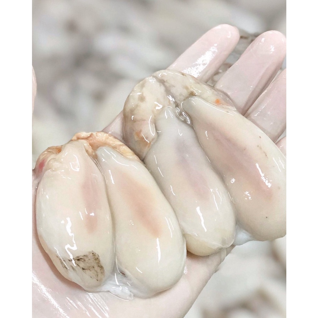ไข่หมึกกระดอง500กรัม(แพ็ค)