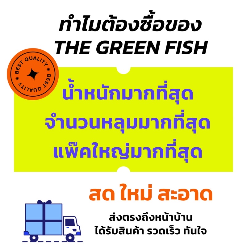 (6ฟรี2-8ฟรี3) พร้อมส่ง‼️ ไรน้ำเค็ม ไรทะเลแช่แข็ง อาร์ทีเมีย The green fish แบบถุงครึ่งโล 500กรัม 🐠 ‼️อาหารปลาสวยงาม - รูปที่ 2