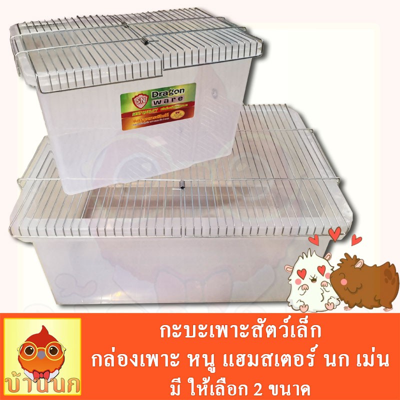 กะบะเพาะ กล่องเพาะ กะบะเพาะนก กะบะเพาะหนู กะบะเพาะเม่น ลูกนก ลูกเม่น ลูกหนู แฮมสเตอร์