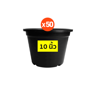  กระถางต้นไม้พลาสติก กระถางต้นไม้ สีดำ สีขาว 10 11 นิ้ว แพ็ค 50 ใบ