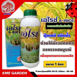 🍄อาหารเสริม🍄 เอไรซ์ A-RICE ขนาด 1 ลิตร ช่วยให้ข้าวแตกกอ ออกรวงสมบูรณ์ ปัญหาอาการใบซีดเหลือง เพิ่มคุณภาพของผลผลิต