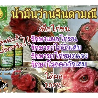 ยาไก่ชน ไก่ขี้ขาว ไก่ตาอักเสบคออักเสบ คอครอก ขาไก่หมดแรง น้ำมันว่านจินดามณีว่านสมุนไพรแท้ๆ